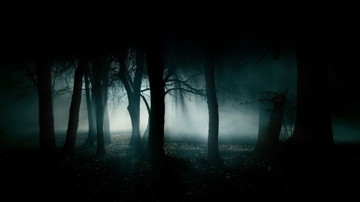 39946_horror_creepy_dark_creepy_forest