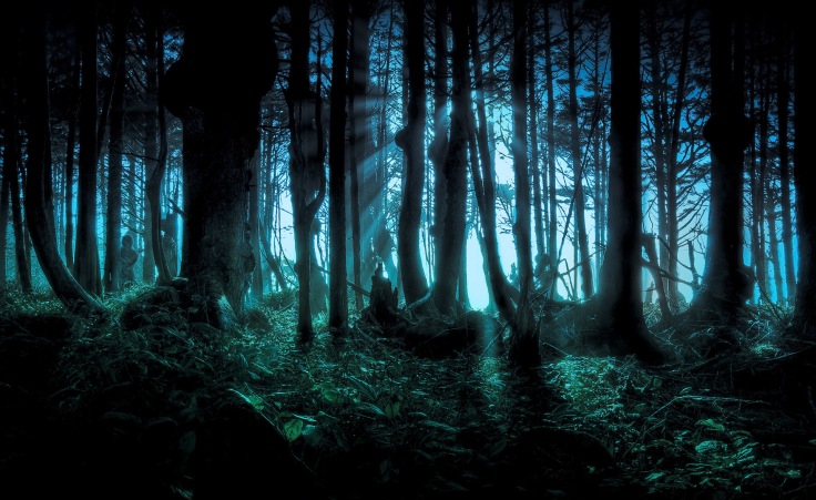 56578_horror_creepy_dark_creepy_forest